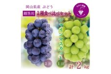 岡山　花笑み農園の『シャインマスカット&BKシードレス』贈答用　約2kg　BS-2上　9月下旬～発送【1626552】
