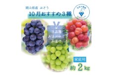 岡山　花笑み農園のブドウ『10月おすすめ3種セット』家庭用(3房)　3M-2L家＜10月～順次発送＞【1626672】