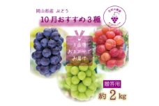 岡山　花笑み農園のブドウ『10月おすすめ3種セット』(3房)贈答用　3M-2L上＜10月～順次発送＞【1626677】