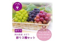 岡山　花笑み農園『彩り3種セット』(シャイン、クイーンニーナ、ピオーネ)(3房)　贈答用　3M-2上【1626700】
