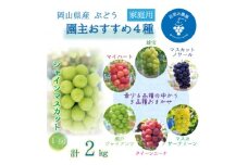 岡山　花笑み農園の『園主おすすめぶどう4種セット』(4房)家庭用　4M-2R家＜9月下旬～順次発送＞【1626799】