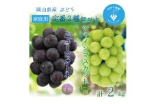 岡山　花笑み農園『ニューピオーネ&シャインマスカット』家庭用　約2kg　PS-2　9月中旬～順次発送【1626803】