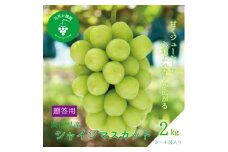 岡山　花笑み農園の『シャインマスカット』贈答用　約2kg(3～4房)　S-2＜9月下旬～順次発送＞【1626806】
