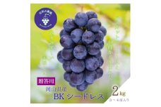 岡山　花笑み農園のブドウ『BKシードレス』約2kg贈答用(3～4房)　B-2上＜9月中旬～順次発送＞【1627357】
