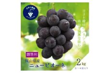岡山　花笑み農園の『ニューピオーネ』贈答用　約2kg(3～4房)　P-2＜9月上旬～順次発送＞【1627358】