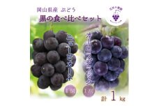 岡山　花笑み農園の『ニューピオーネ&オーロラブラック』1kg(2房)　PA-1＜9月上旬～順次発送＞【1627767】
