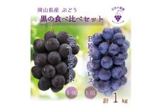 岡山　花笑み農園の『ニューピオーネ&BKシードレス』1kg(2房)PB-1　＜9月中旬～順次発送＞【1627765】