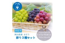 岡山　花笑み農園『彩り3種セット』(シャイン、クイーンニーナ、ピオーネ)(3房)家庭用　3M-2家【1627521】