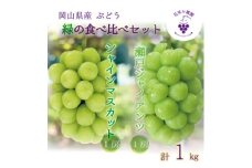 岡山　花笑み農園の『シャインマスカット&瀬戸ジャイアンツ』1kg(2房)　GS-1【1627775】