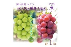岡山　花笑み農園の『クイーンニーナ&シャインマスカット』1kg　QS-1　＜9月中旬～順次発送＞【1627772】