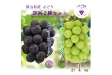 岡山　花笑み農園の『ニューピオーネ&シャインマスカット』1kg(2房)PS-1＜9月中旬～順次発送＞【1627783】