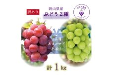 岡山　花笑み農園の『訳あり2種MIX』ブドウ1kg　W2M-1＜9月中旬～順次発送＞【1628310】