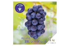 岡山　花笑み農園の『BKシードレス』1kg(2～3房)　B-1＜9月中旬～順次発送＞【1628316】