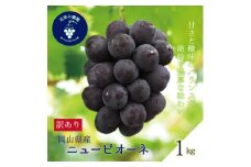 岡山　花笑み農園の 『訳ありニューピオーネ』1kg　WP-1【1628312】
