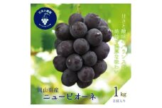 岡山　花笑み農園の『ニューピオーネ』1kg(2房)　P-1＜9月上旬～順次発送＞【1628315】
