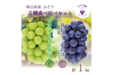 岡山　花笑み農園『シャインマスカット&BKシードレス』1kg(2房)BS-1　＜9月下旬～順次発送＞【1628317】