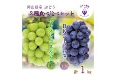 岡山　花笑み農園『シャインマスカット&BKシードレス』1kg(2房)BS-1　＜9月下旬～順次発送＞【1628317】