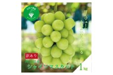岡山　花笑み農園『訳ありシャインマスカット』1kg　WS-1【1628321】
