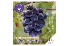 岡山　花笑み農園のブドウ『オーロラブラック』1kg(2房)　A-1＜9月上旬～順次発送＞【1628324】