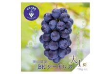 岡山　花笑み農園のブドウ『BKシードレス』700g以上(大1房)　B-大1＜9月中旬～順次発送＞【1628326】
