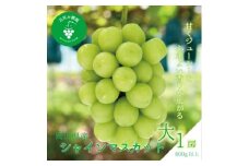 岡山　花笑み農園 の『シャインマスカット』800g以上(大1房)　S-大1　＜9月下旬～順次発送＞【1628327】