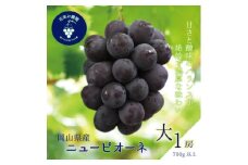 岡山　花笑み農園の『ニューピオーネ』700g以上(大1房)　P-大1＜9月上旬～順次発送＞【1628329】