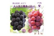 岡山　花笑み農園の『ニューピオーネ&クイーンニーナ』1kg(2房)　PQ-1＜9月中旬～順次発送＞【1629357】