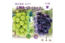 岡山　花笑み農園の『オーロラブラック&シャインマスカット』1kg　AS-1　＜9月中旬～順次発送＞【1629359】
