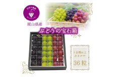 岡山　花笑み農園『ブドウの宝石箱』3種以上(36粒入り)　3M-宝36＜9月中旬～発送＞【1629381】