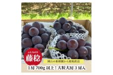 ＜きよとうファーム＞ボッケーネ(藤稔)ずっしり大房の満足便! 3房入(1房700g～)(岡山県産)【1633076】