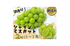 ＜2025年先行受付＞お試しフルーツ王国岡山シャインマスカット2kg!　朝採れぶどう3～5房【1633324】
