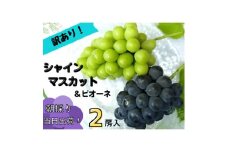 ＜2025年先行受付＞訳あり岡山県産ぶどう詰合せ　1.2kg(シャインマスカット+ピオーネ)【1633329】