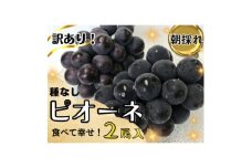 ＜2025年先行受付＞訳あり岡山県産ピオーネ1.2kg【1633343】