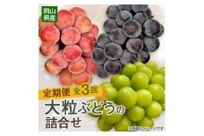 ＜発送月固定定期便＞＜2025年先行予約＞10～12月　大粒ぶどうの詰合せ全3回【4062737】