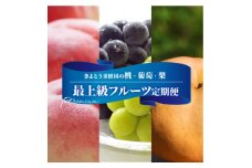 ＜発送月固定定期便＞桃、ぶどう、梨の最上級品を旬にお届けする3回便!(岡山県産)全3回【4062767】