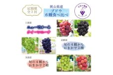 ＜3週間毎定期便＞岡山　花笑み農園のお任せ2房×3回の6種類の食べ比べブドウ便全3回【4064695】