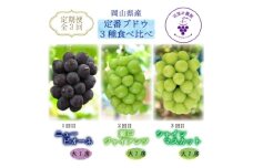 ＜3週間毎定期便＞岡山　花笑み農園のピオーネ、瀬戸ジャイアンツ、シャインの大1房の定番ぶどう便全3回【4064696】