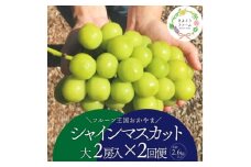 ＜発送月固定定期便＞＜きよとうファーム＞シャインマスカット大2房の満足便!/全便計2.6kg～全2回【4065361】