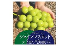 ＜発送月固定定期便＞＜きよとうファーム＞シャインマスカットを楽しむ満足便!/全便計3.9kg～全3回【4065362】