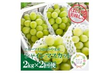 ＜発送月固定定期便＞＜きよとうファーム＞シャインマスカットを楽しむ満足便!/全便計4.0kg～全2回【4065363】