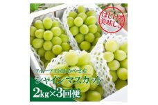 ＜発送月固定定期便＞＜きよとうファーム＞シャインマスカットを楽しむ満足便!/全便計6.0kg～全3回【4065364】
