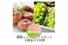 ＜発送月固定定期便＞＜きよとうファーム＞蟠桃とシャインマスカットの上級品を岡山から産地直送全2回【4065825】
