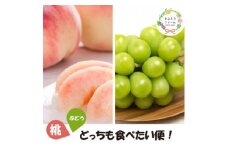 ＜発送月固定定期便＞＜きよとうファーム＞桃と葡萄どっちも食べたい便!＜お試し便＞(岡山県産)全2回【4067481】