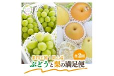 ＜発送月固定定期便＞＜きよとうファーム＞シャインマスカット計2kg～と梨2-3種上級品岡山県産全2回【4067489】