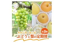 ＜発送月固定定期便＞＜きよとうファーム＞シャインマスカット大2房と梨2-3種上級品(岡山県産)全2回【4067496】