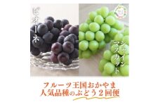 ＜発送月固定定期便＞＜きよとうファーム＞ピオーネとシャインマスカット大2房の定期便(岡山県産)全2回【4067688】
