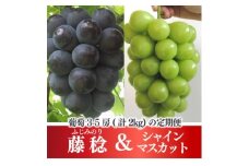 ＜発送月固定定期便＞＜きよとうファーム＞藤稔とシャインマスカット各2kg入の定期便(岡山県産)全2回【4068046】