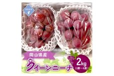 ＜先行予約 2025年発送＞岡山県産　クイーンニーナ　3房～5房(合計2kg)【1562295】