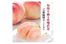 ＜きよとうファーム＞珍しい品種の桃 もも好きのあなたに 旬採り桃 ご家庭用/5-7玉(岡山県産)【1571590】