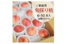 ＜きよとうファーム＞旬採り桃 ご家庭用 6-10玉(岡山県産)【1571591】